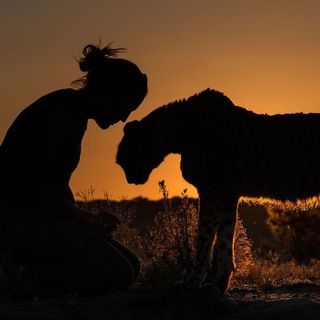Telegram profile photo for National geographic