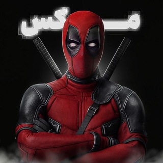 Telegram profile photo for Max