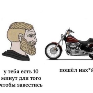 Telegram profile photo for ЗАВОДИЛЫ