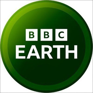Telegram profile photo for BBC Earth