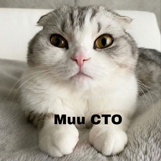 Telegram profile photo for Muu CTO PORTAL