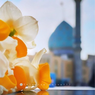 Telegram profile photo for تَ💙