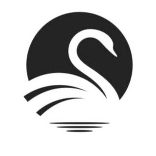 Telegram profile photo for 南宁黑天鹅榜