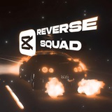 Telegram profile photo for reverse squad