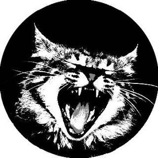Telegram profile photo for ππ¦ππ πππππͺπΎ