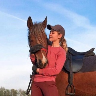 Telegram profile photo for Hors.era Club | Лайф канал с анонсами и лошадьми