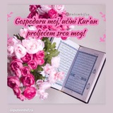 Telegram profile photo for ᗰEᖇᗩᗩᗰ | hifz