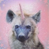 Telegram profile photo for ланя икея
