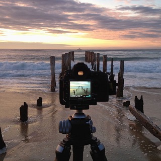 Telegram profile photo for myfotojob