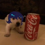 Telegram profile photo for ׅ꣑୧ ۪ Vian
