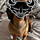 Telegram profile photo for 卐卐卐卐卐卐卐卐卐卐卐卐卐💍