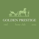 Telegram profile photo for GOLDEN PRESTIGE (STRD)