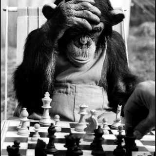 Telegram profile photo for Ignorance is bliss (f1)