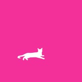 Telegram profile photo for Silent Cat VPN Plus