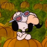 Telegram profile photo for -