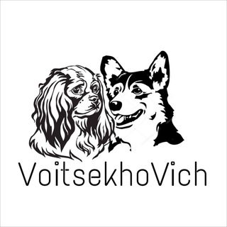 Telegram profile photo for VoitsekhoVichA