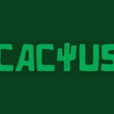 Telegram profile photo for Казино Cactus