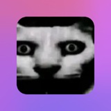 Telegram profile photo for Who's Channel? 🤔