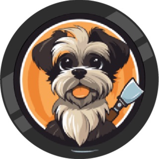 Telegram profile photo for CHITZO INU Announce