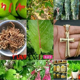 Telegram profile photo for መሪጌታ ዩሀንስ የባሀል ህክምና ሰጭ ተቋም
