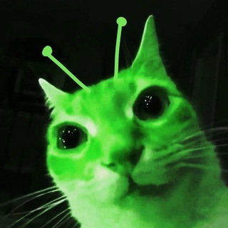 Telegram profile photo for ꜱᴏʀʀʏ 4 ᴡʜᴀᴛ?