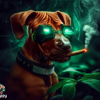 Telegram profile photo for AIPOPPY OFFICIAL
