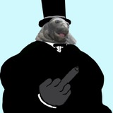 Telegram profile photo for 🦭 Seal Dreams 🦭