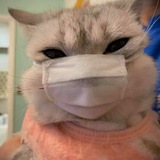 Telegram profile photo for مرهقــهہ