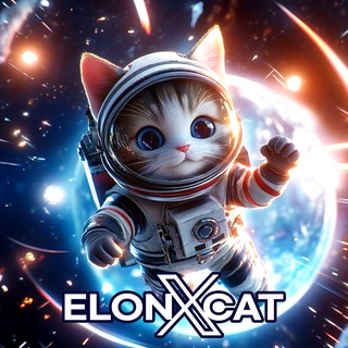 Telegram profile photo for ELONXCAT Channel