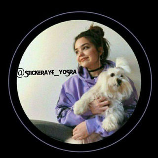 Telegram profile photo for -ѕᴛɪᴄᴋᴀᴍ-