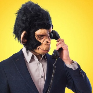 Telegram profile photo for Ape AIRDROPS | MEMECOINS