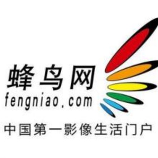 Telegram profile photo for 蜂鸟网