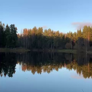 Telegram group profile photo for 🌲 Лесное озеро