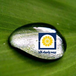 Telegram profile photo for نمایندگی بزرگ و قدرتمند 42566