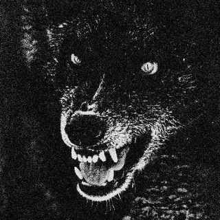 Telegram profile photo for ๐๐๐๐๐๐๐๐๐๐ ๐ธ๐๐๐๐๐๐๐๐๐