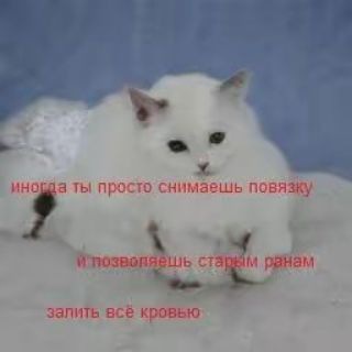 Telegram profile photo for Drug den