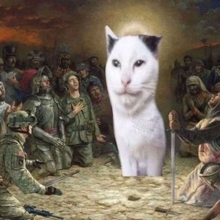 Telegram profile photo for Шизократія