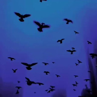 Telegram group profile photo for а поговорить? травмы и печеньки (╭ರ_⊙)