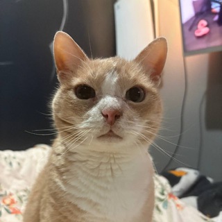 Telegram profile photo for агенство василия ©
