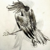 Telegram profile photo for Harpy trust