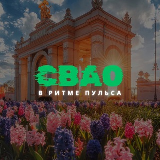 Telegram profile photo for СВАО: в ритме пульса