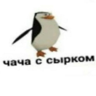 Telegram profile photo for МОЛЕКУЛЯРНАЯ КОМА