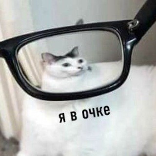 Telegram profile photo for Триббл щитпостит про всякое