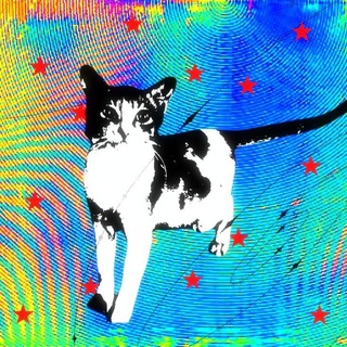 Telegram profile photo for bohemian.
