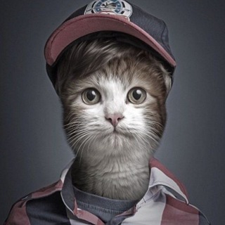 Telegram profile photo for #bibland