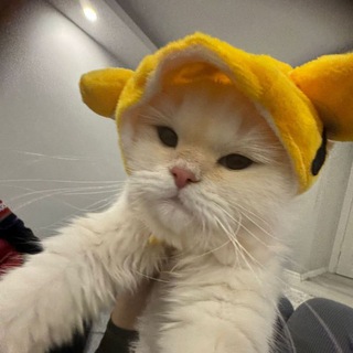 Telegram profile photo for 𝗟𝗮𝗙𝗹𝗮𝗺𝗲