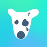 Telegram profile photo for счета
