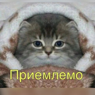 Telegram profile photo for пельменопауза