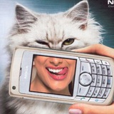 Telegram profile photo for Nagoets