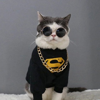 Telegram profile photo for Payment kyc от jambuker